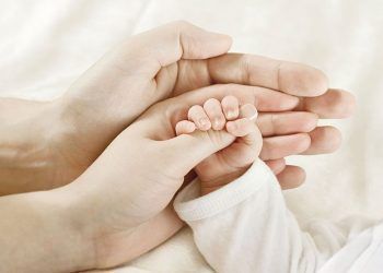 Retos y Oportunidades de los Seguros de Vida Grupo e Individual
