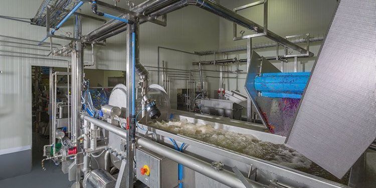 LA PLANTA MÁS INNOVADORA DE DOLE YA ESTÁ OPERANDO EN COLOMBIA