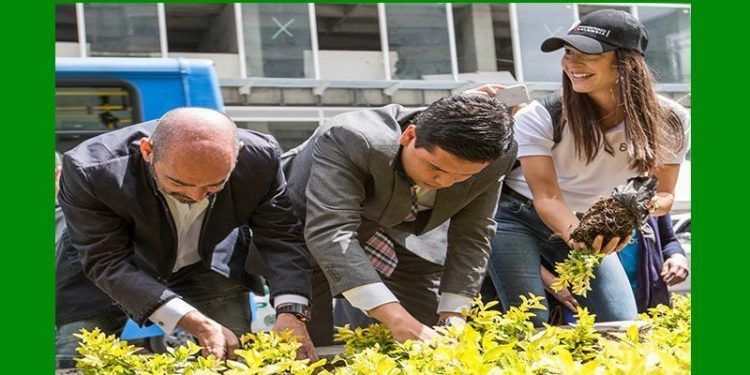 El sector empresarial y las entidades públicas reafirman su compromiso con el centro capitalino