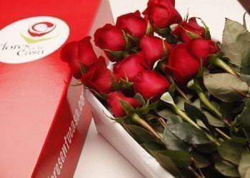 Las flores y la tecnología se unen al servicio de las personas