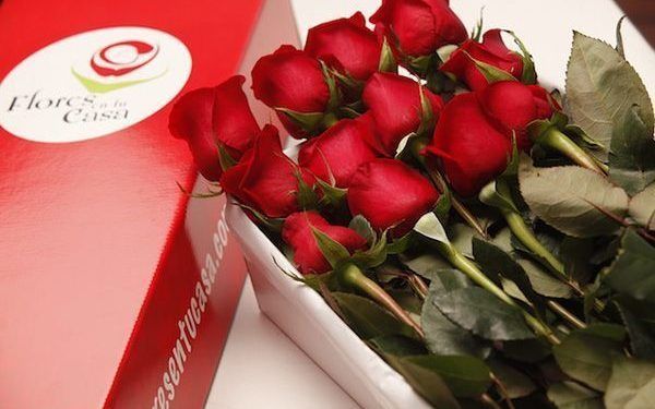 Las flores y la tecnología se unen al servicio de las personas
