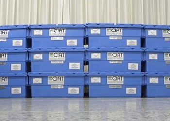 DHL transportó duplicados de seguridad de semillas de fríjol y pastos tropicales que contribuyen a la seguridad alimentaria mundial a México y Noruega