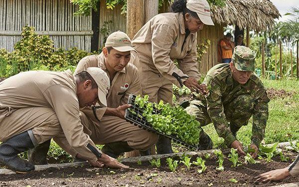FUNDAPANACA presenta en ANATO su programa de formación práctica agropecuaria