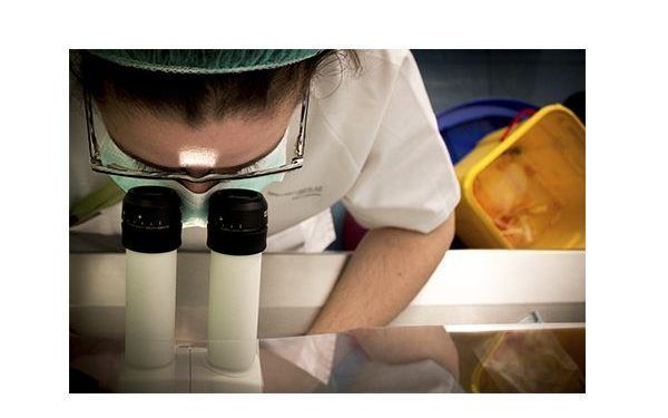 Menarini: laboratorio farmacéutico italiano inicia operaciones en Colombia.