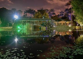 Jardin botanico en navidad