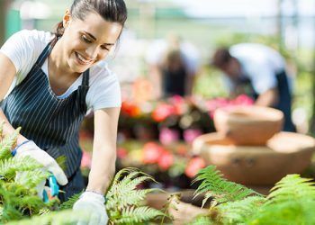 Empleo Dependiente