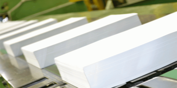 La industria del papel y el cartón
