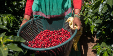 Exportadores Colombianos