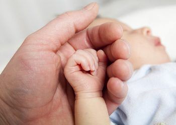 Seguros de vida