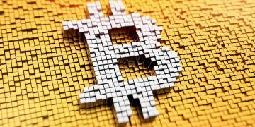 ¿Cómo se dividen las criptomonedas?