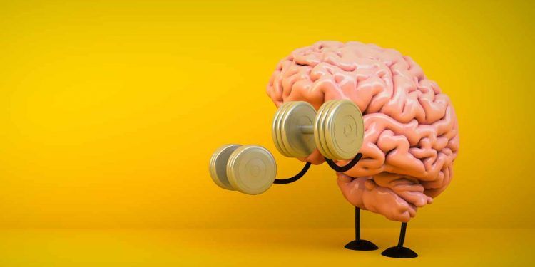 Entrenamiento Cerebral y Productividad