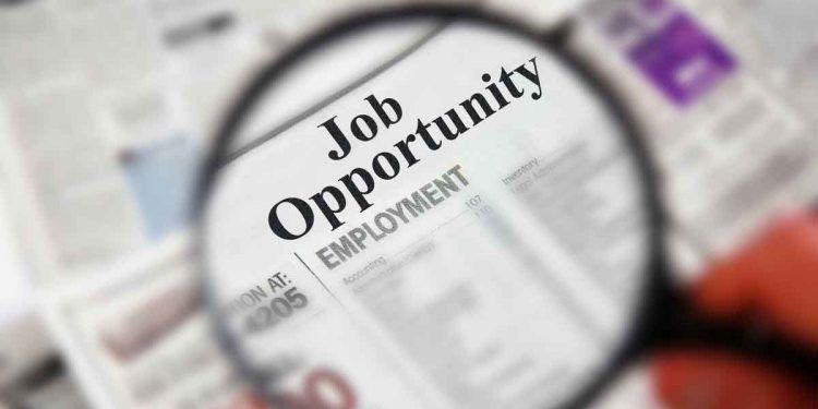 recomendaciones imperdibles a la hora de buscar empleo