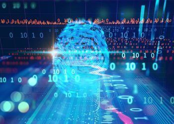 Autenticación y Verificación de Datos