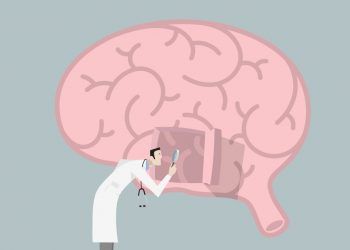 Sobre-el-Cerebro-No-todo-lo-que-Dicen-es-Cierto