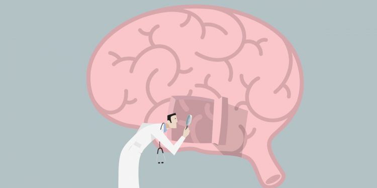 Sobre-el-Cerebro-No-todo-lo-que-Dicen-es-Cierto