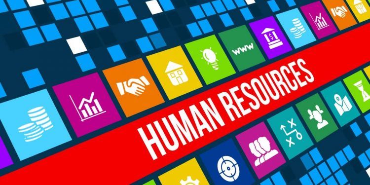 La Importancia de los Software de Recursos Humanos