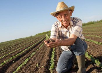Seguro Agrícola