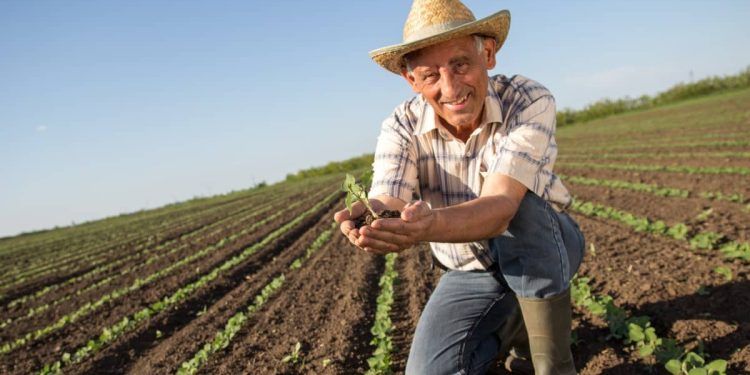 Seguro Agrícola