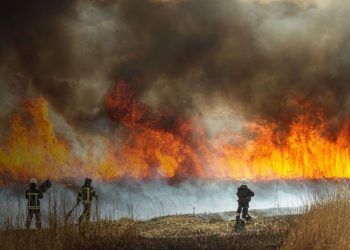 Incendios Forestales