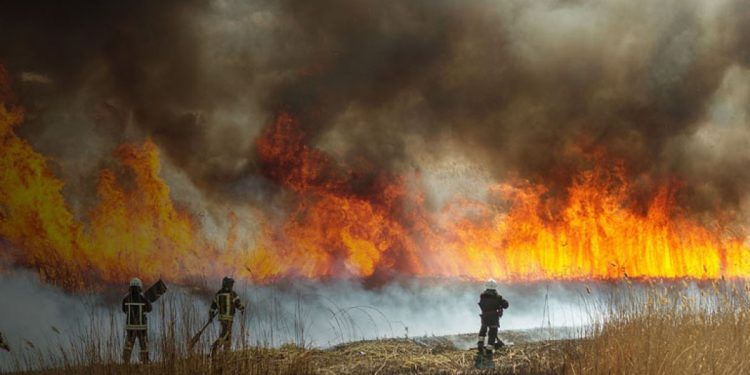 Incendios Forestales
