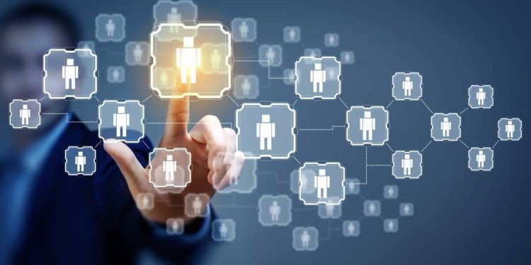 Perfiles Técnicos y Profesionales en el Mercado Laboral