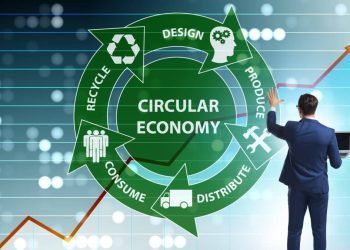 El papel de la Economía Circular en Sistemas de Gestión Resilientes