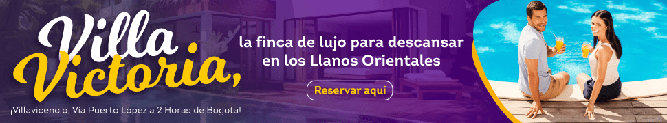 BannerVillaV
