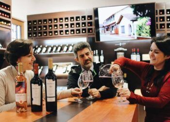 Vinos Chilenos 2025