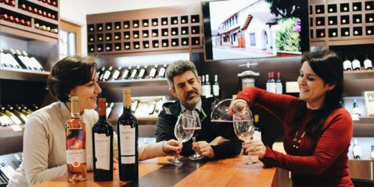 Vinos Chilenos 2025