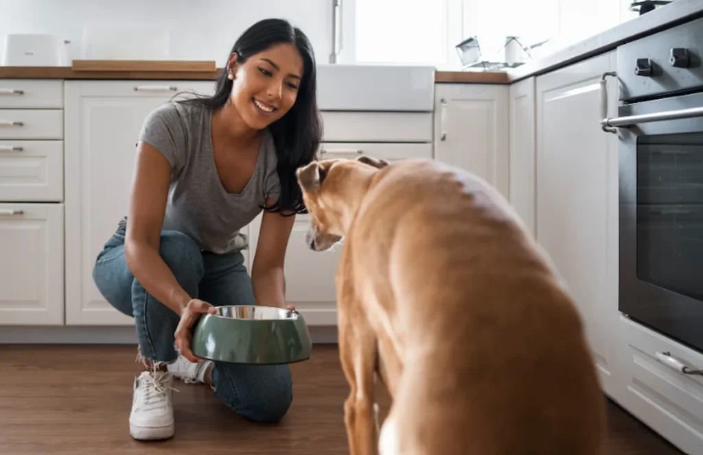 Acana perros